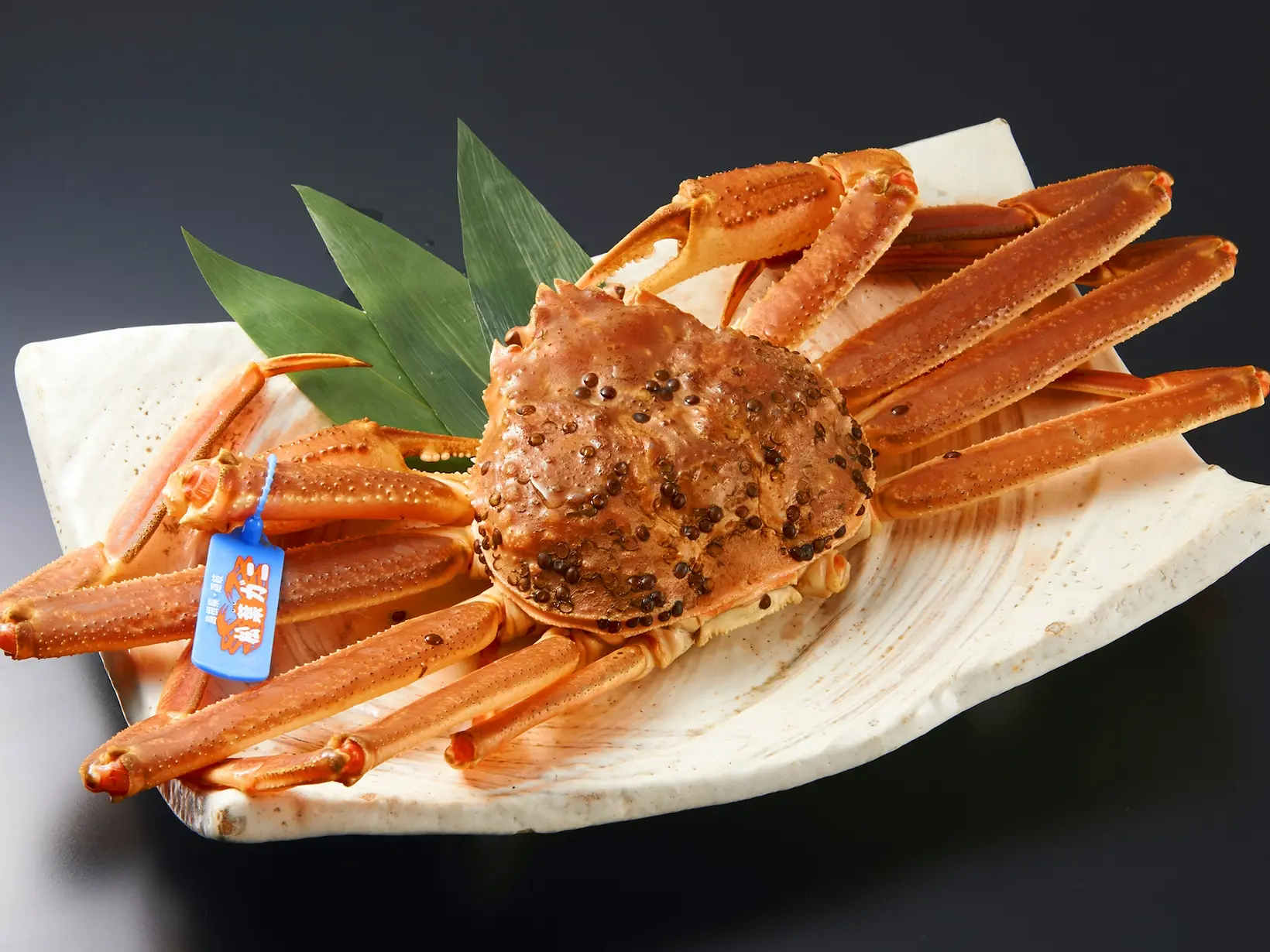 Matsuba Crab Course