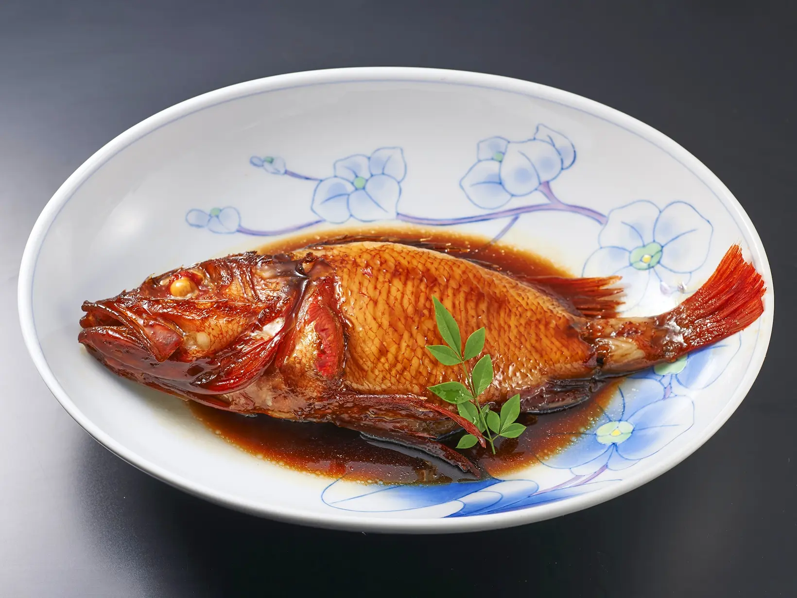 釣りきんきコース
