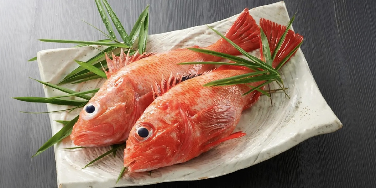 赤坂あじさいで扱う旬の魚